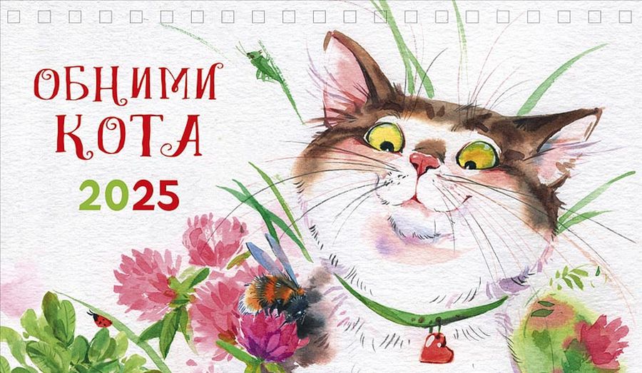 0616,255 - Обними кота 2025 Обними кота