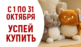 Акция Товар месяца с 01.10 по 31.10