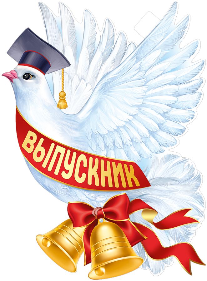  Плакат "Голубь "Выпускник"