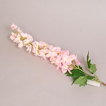 Левкой,  90см,  32 цветочка,  3 листа,  бело-розовый