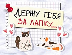 Открытка "Держу тебя за лапку!"