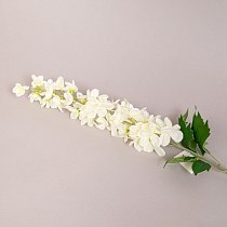 Левкой,  90см,  32 цветочка,  3 листа,  бело-зеленый
