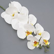 Орхидея фаленопсис,  95см,  головка 10см,  9 цветов,  белая