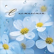 Бирка для подарка "С нежностью" (компл.=20 шт)