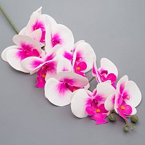 Орхидея фаленопсис,  95см,  головка 10см,  9 цветов,  бело-розовая