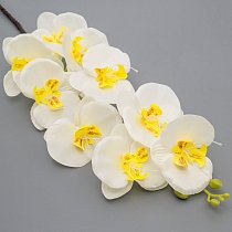 Орхидея фаленопсис,  100см,  головка 9см,  9 цветов,  белая