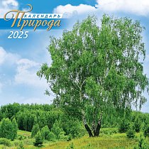 Календари скрепка ПК Природа. Удивительная природа 2025